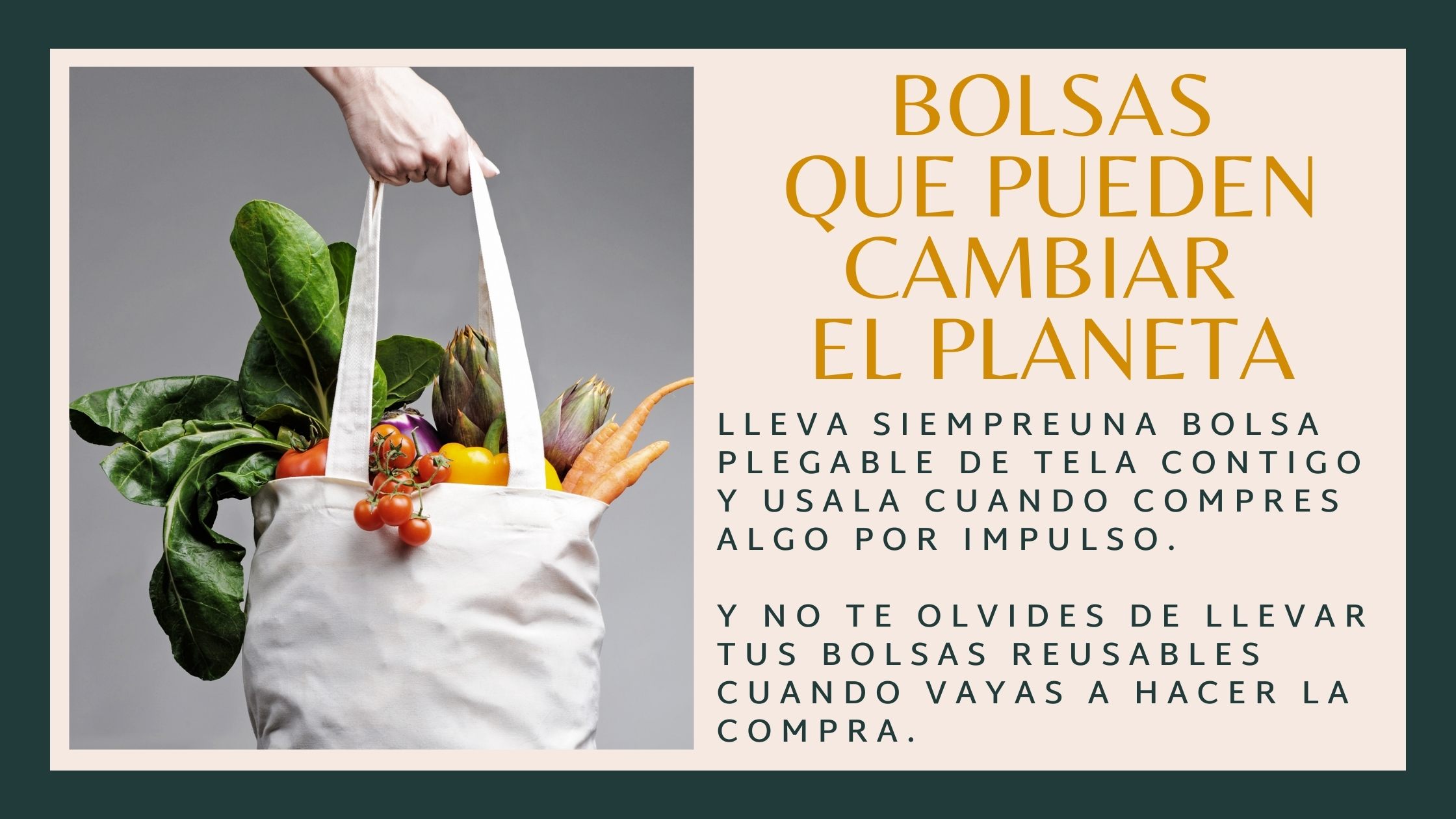 Una bolsa que puede cambiar el planeta