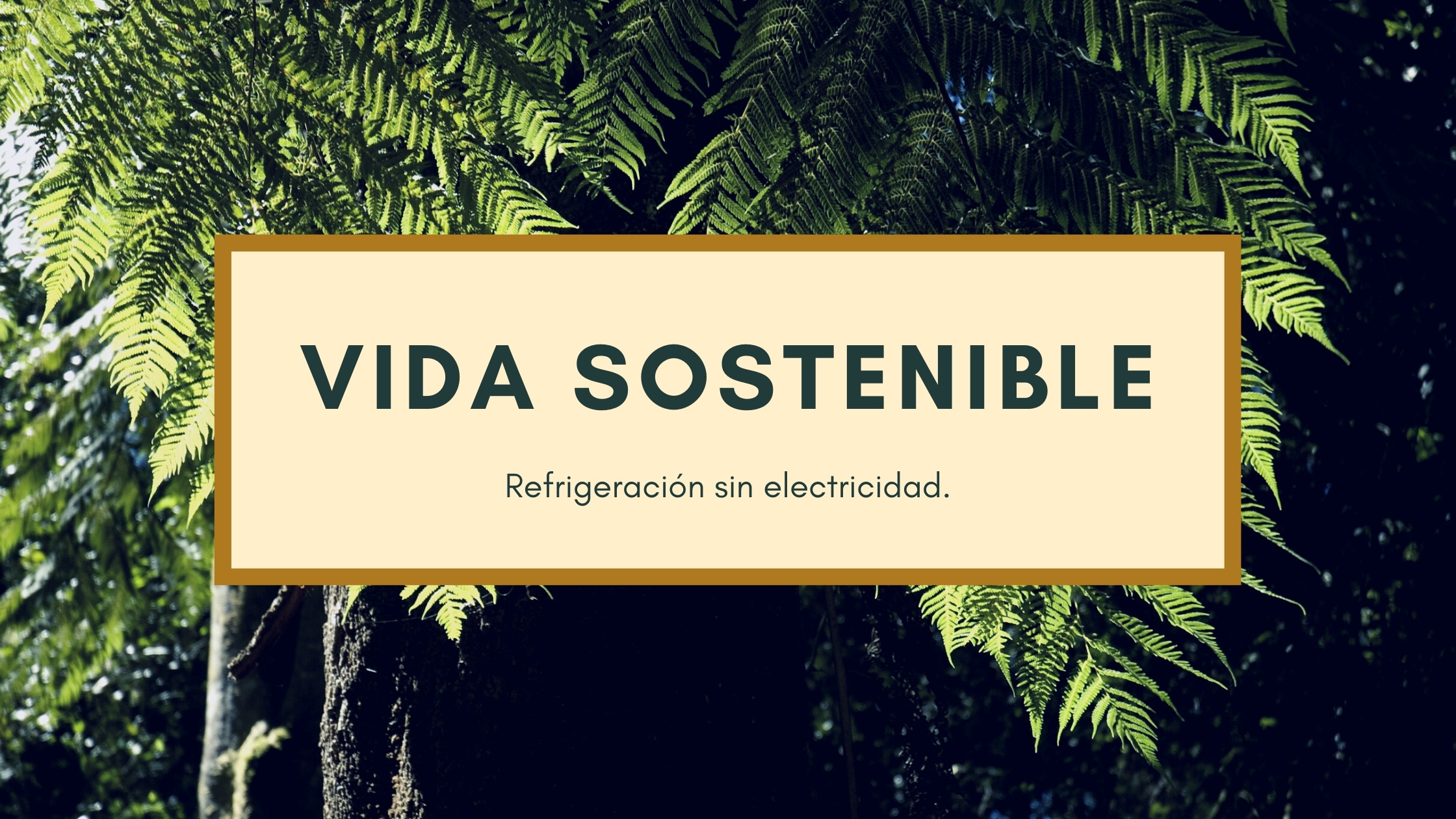 Ventilar y refrigerar la casa sin electricidad