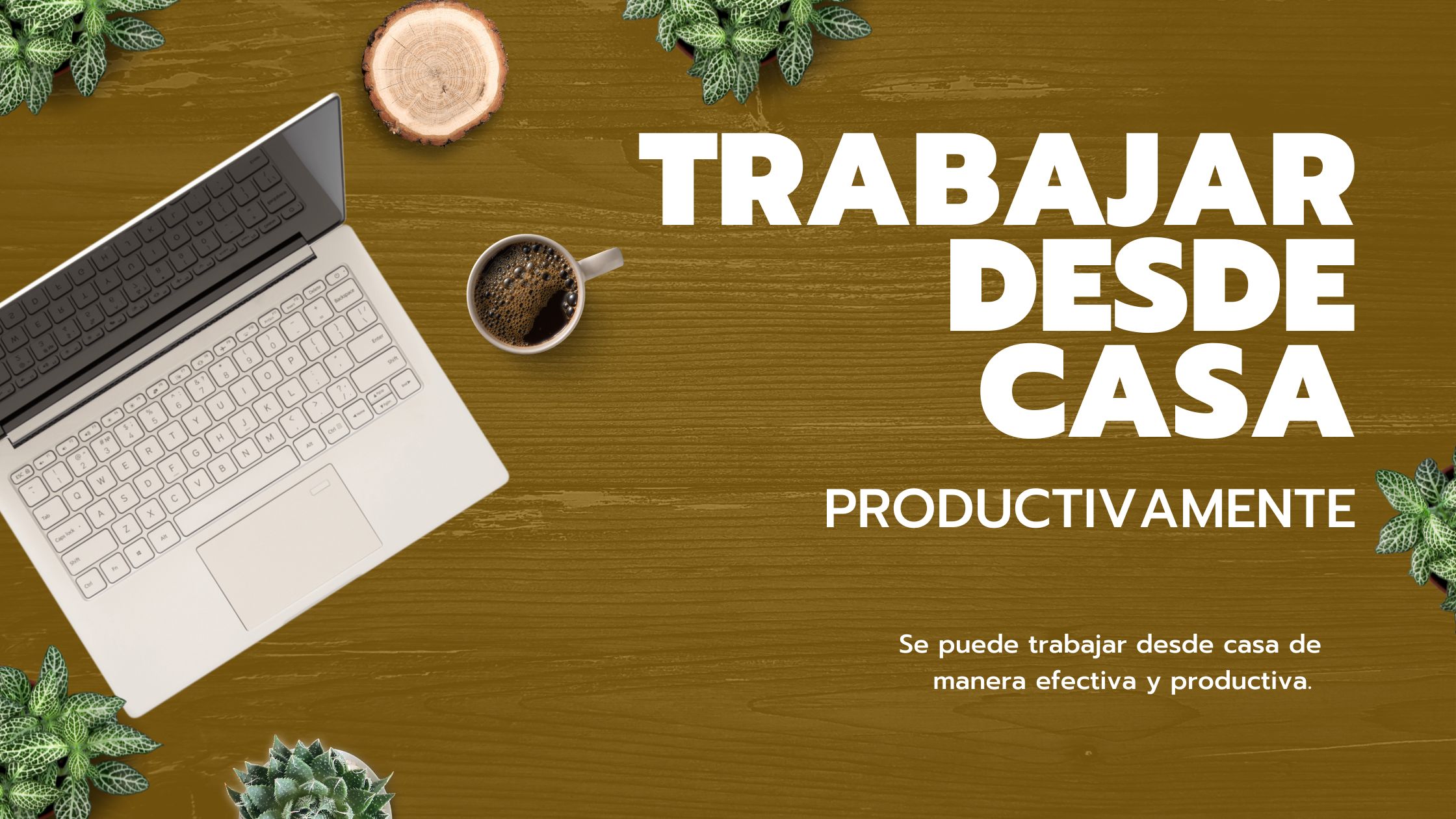 Descubre las ventajas de trabajar por cuenta propia y desde casa