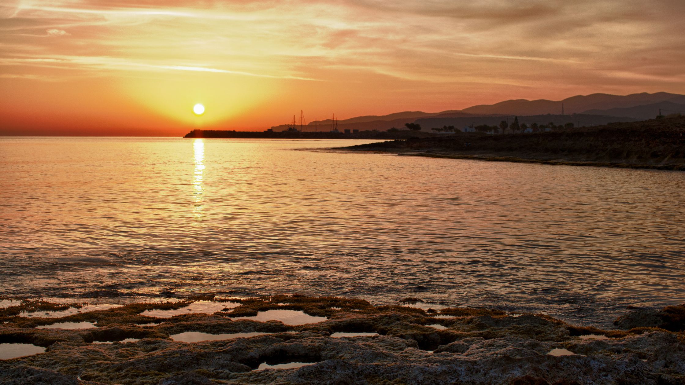 Escribe una postal
