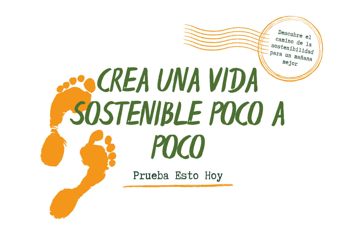 Hábitos cotidianos para una vida sostenible