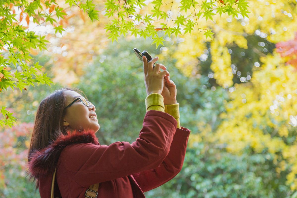 Aprende fotografía con tu teléfono móvil