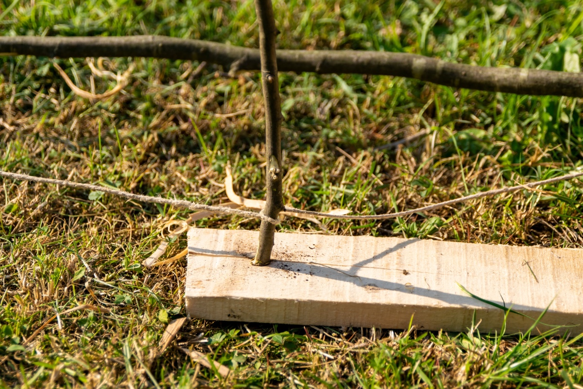 Aprende a orientarte y a hacer fuego con dos palos