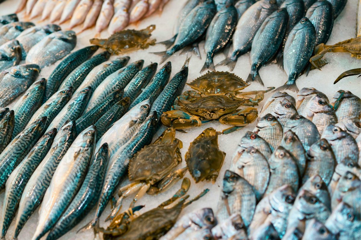 Come pescado de forma sostenible