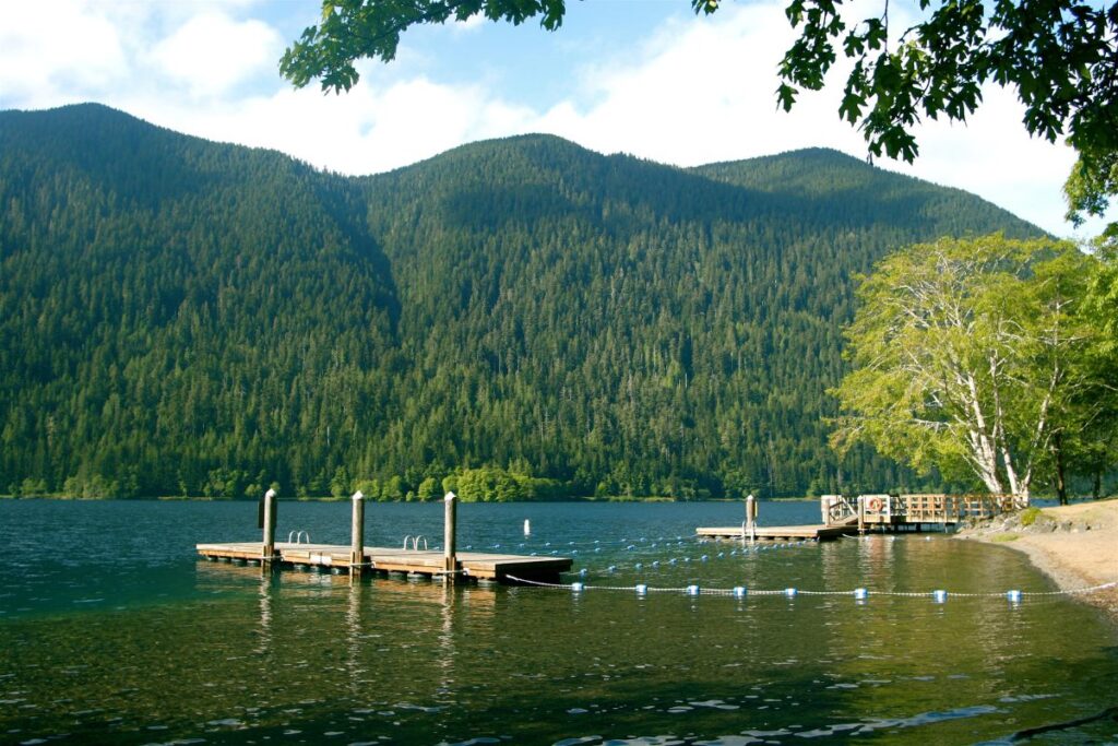 Espacio designado para nadar y disfrutar del agua en un lago.